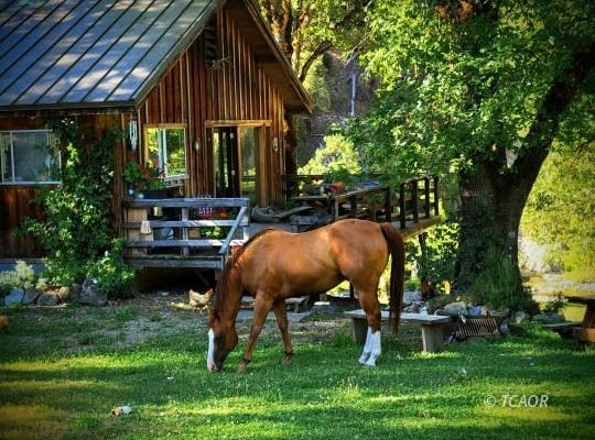 8480 St John Road, Hyampom, CA 96046