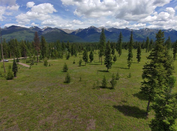 375 Remicks Road, Condon, MT 59826