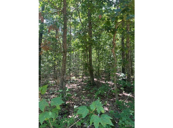 1 County Road 750, Centerville, MO 63633
