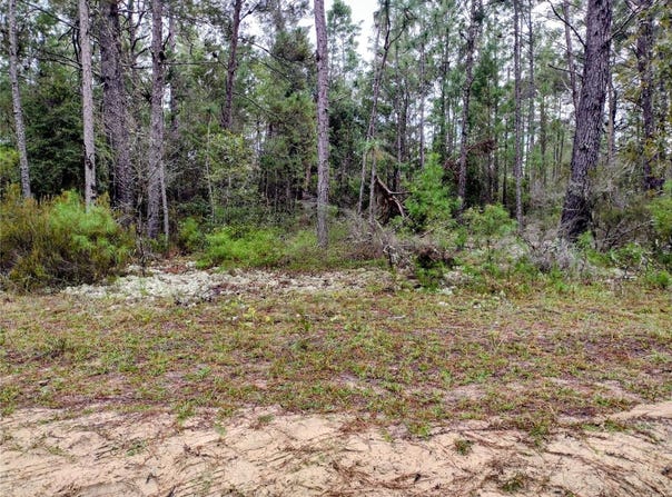 165 7th Way, Interlachen, FL 32148
