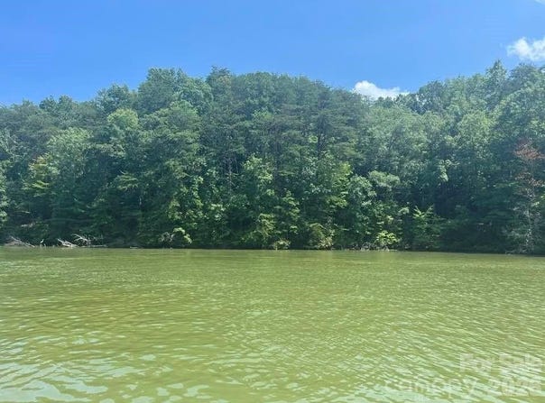 Canoe Drive, Mill Spring, NC 28756