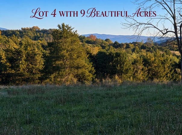 BERRY FARM RD lot: 4, STAUNTON, VA 24401