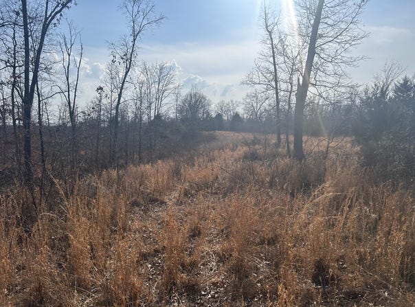 Highway 32 E, Salem, MO 65560