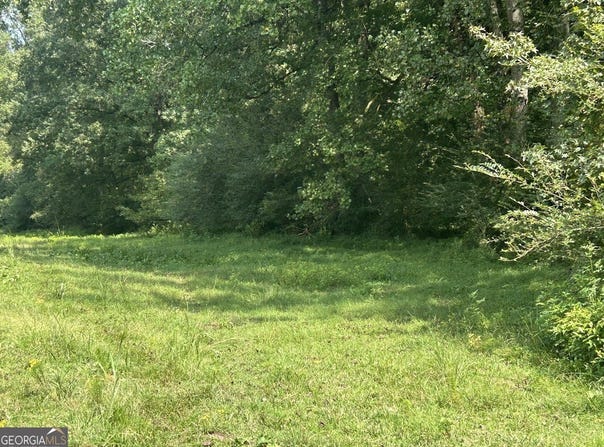 Attaway Road, Bowdon, GA 30108