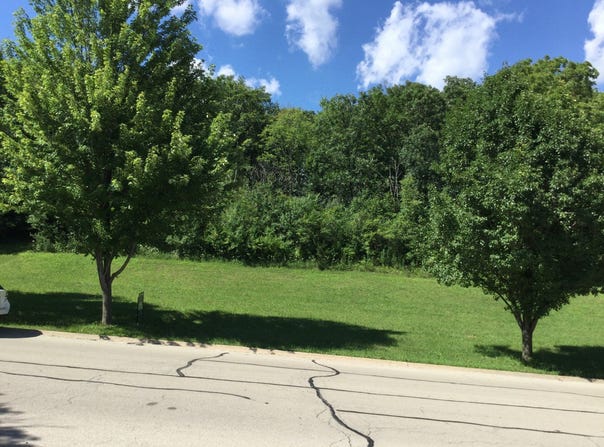 517 Rivers Edge Drive, Minooka, IL 60447