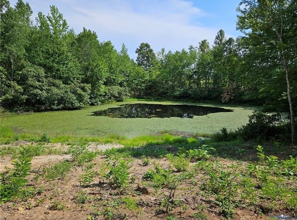 Selma Rd, Amelia, VA 23002
