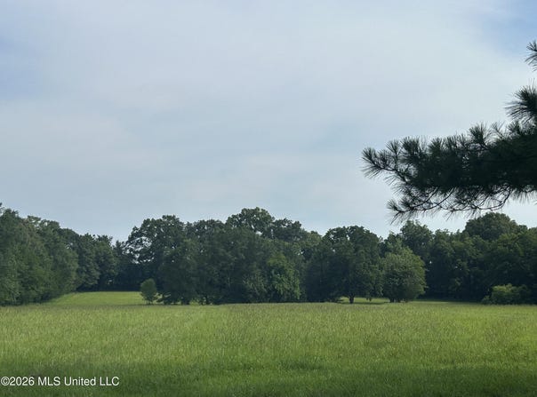 1 Green Acres Drive, Canton, MS 39046