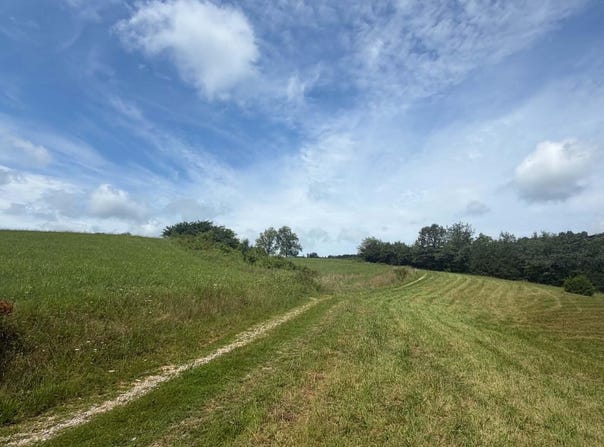 Mulberry Gap Rd, Sneedville, TN 37869