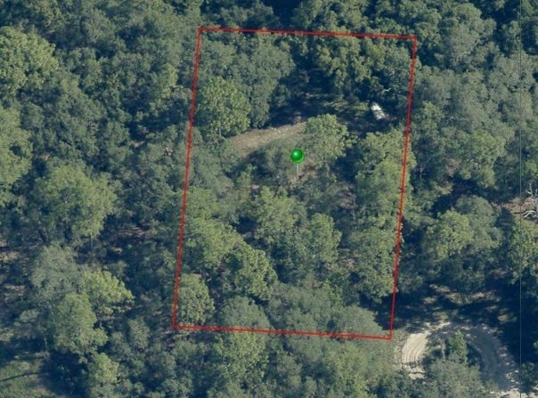 3985 W Klett Path, Lecanto, FL 34461