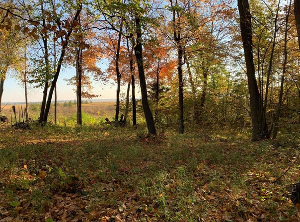Grouse Loop NW, Walker, MN 56484