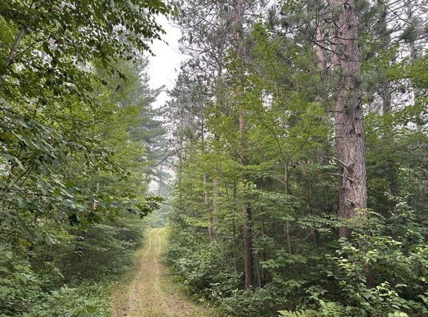 Kelly Lake Road, Barnes, WI 54873