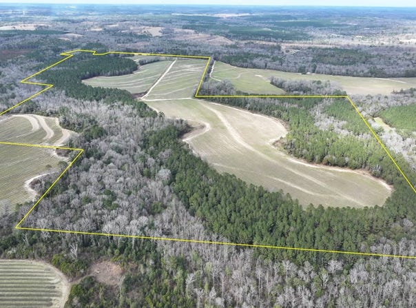 Hwy 201, Brundidge, AL 36010