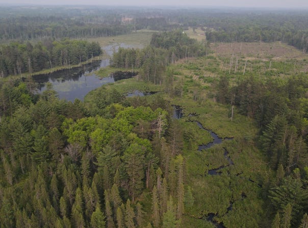 Parcel B Cherry Creek Trail, Grayling, MI 49738