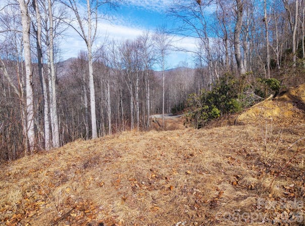 Bee Tree Road, Swannanoa, NC 28778