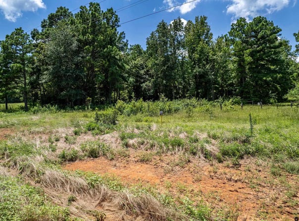 Star Mountain lot: 71, Winona, TX 75792