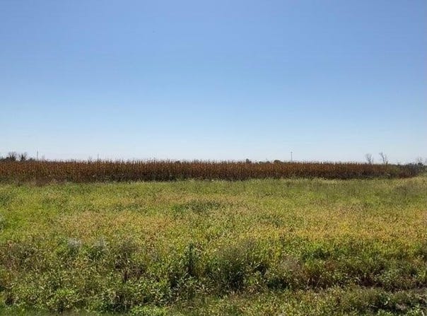 1998 155th Street, Thurman, IA 51654