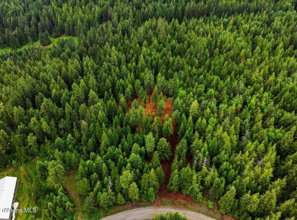NNA Cedar Ridge, Dover, ID 83825