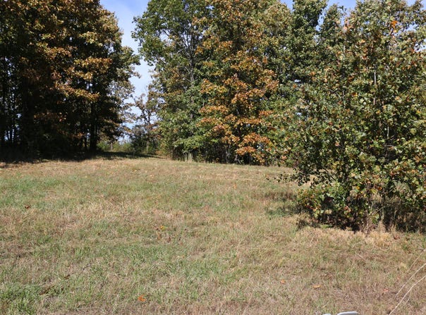 Wild Turkey Road, West Plains, MO 65775