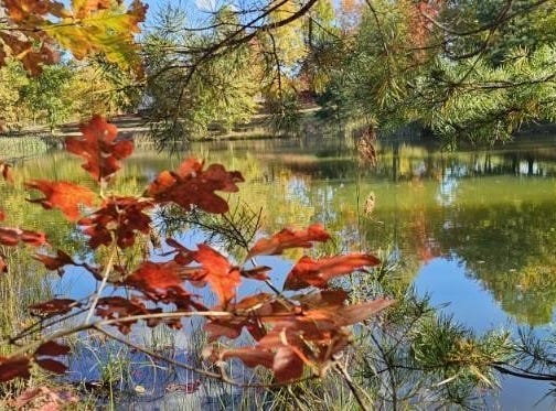 Wilderness Way lot: 515, Dunlap, TN 37327
