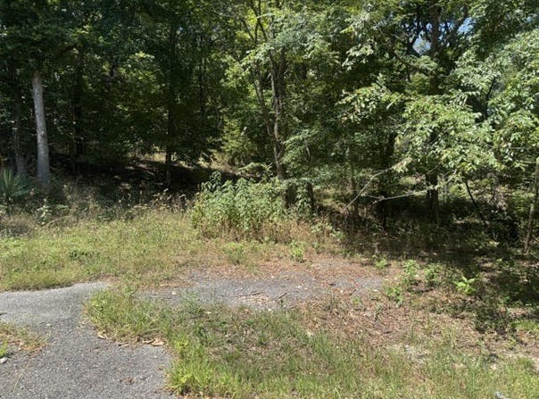 10 Pine Lane lot: 67, Holiday Island, AR 72631