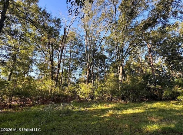 5th Street, Osyka, MS 39657