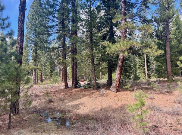 856 Prospector Drive lot: 13, Clio, CA 96106