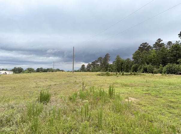 2184 Ozark Loop, Bismarck, AR 71929