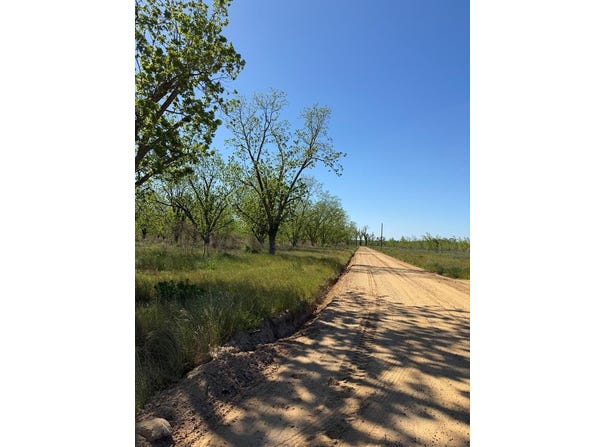 Tract 1 Lamb Circle, Naylor, GA 31641