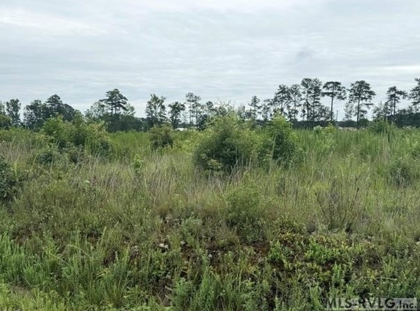 Sussex Dr & Longevity Rd, Stony Creek, VA 23882