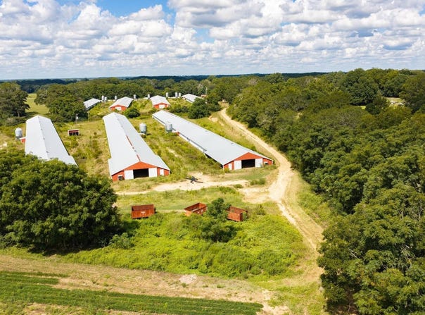 County Road 623, Enterprise, AL 36330