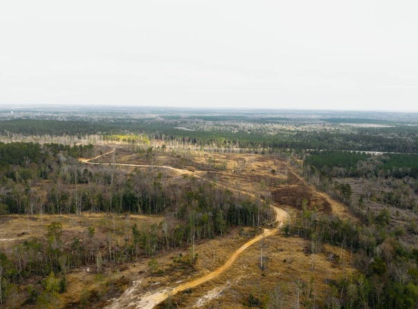 -- US Hwy 98, Beaumont, MS 39423