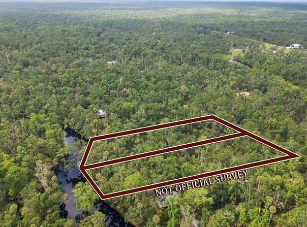 2338 NE Ancient Oaks Dr, Steinhatchee, FL 32359