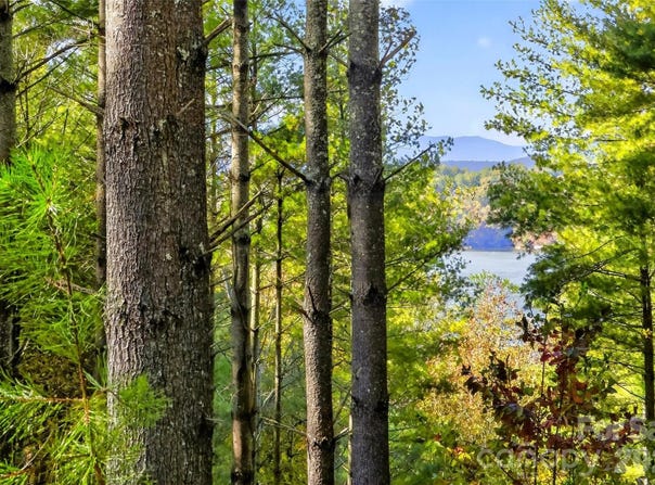 West Point Drive, Nebo, NC 28761