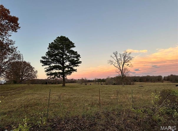 Rosebud, MO 63091