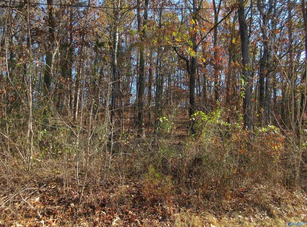 27 Sumner Drive, Scottsboro, AL 35769
