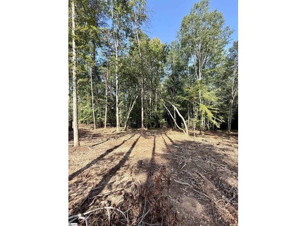 Thompson Road, Greer, SC 29651