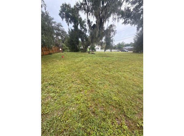 CLAY Avenue, BRANDON, FL 33510