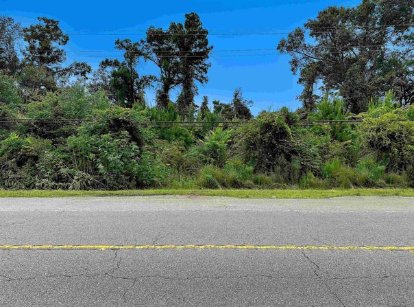HWY 190, Holden, LA 70744