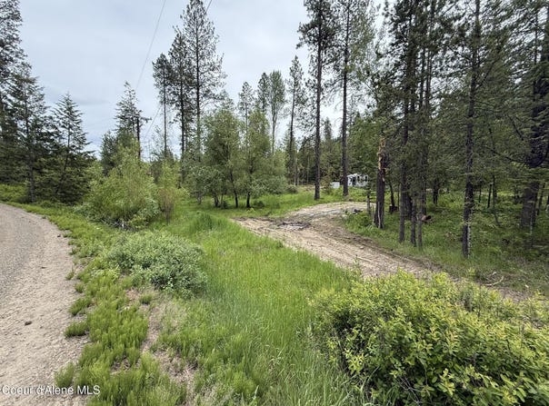 NKA Parkside Rd, Plummer, ID 83851