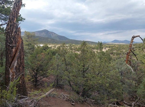 256 Sunrise Road, South Fork, CO 81154