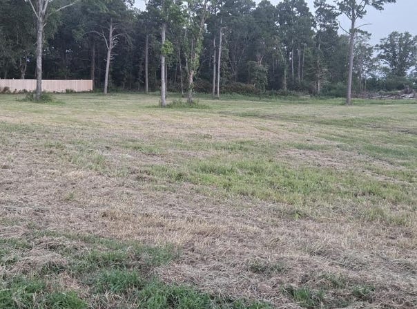 Jolea Beth Loop lot: 9R, Dover, AR 72837