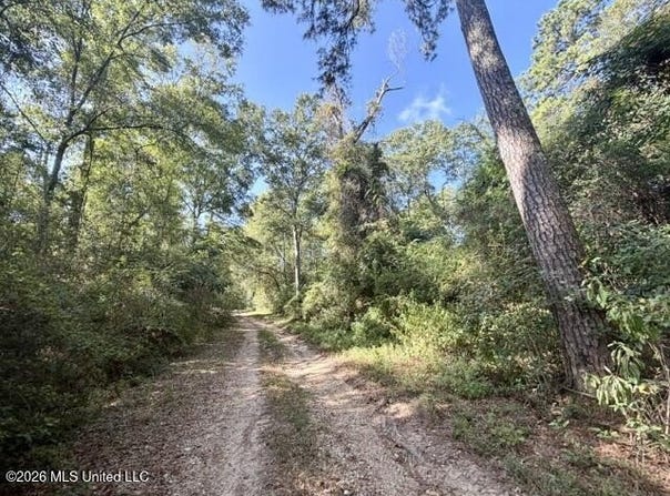 Robert Bateman Road, Franklinton, LA 70438
