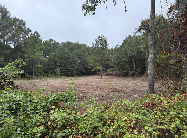 229 Holly Road, Chesnee, SC 29323