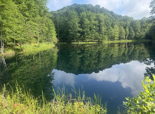 400 Clearfork Road, Morehead, KY 40351