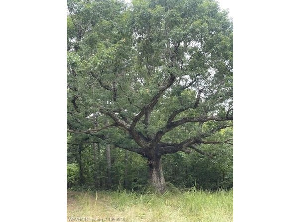 TBD 309 HWY, Paris, AR 72855
