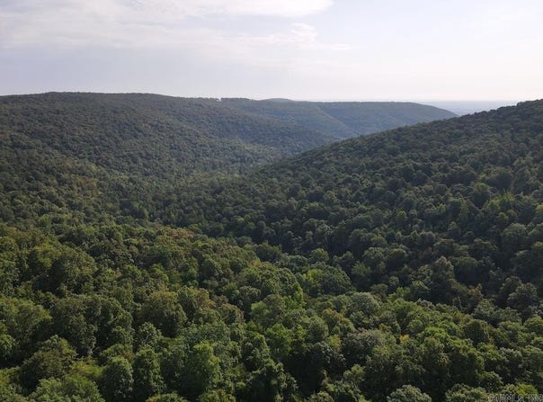 Mountain View, AR 72560
