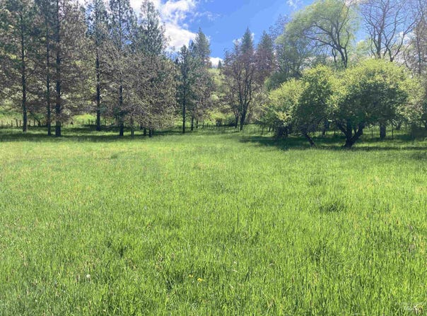 Cashway Road Lot 2, Kamiah, ID 83536