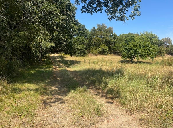5269 E Tellico rd, Atoka, OK 74525