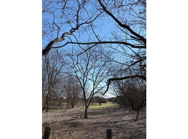 County Road 4518, Wolfe City, TX 75496
