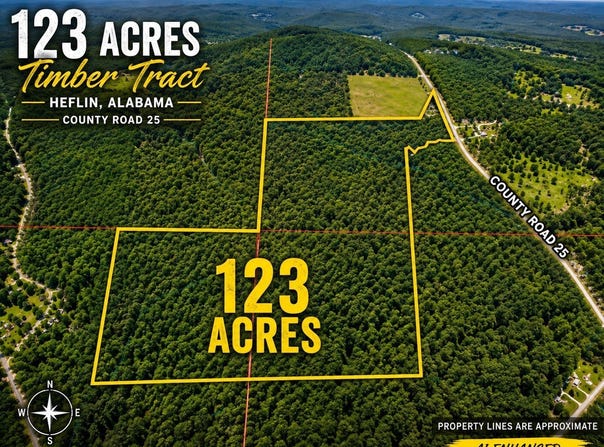County Road 25, Heflin, AL 36264